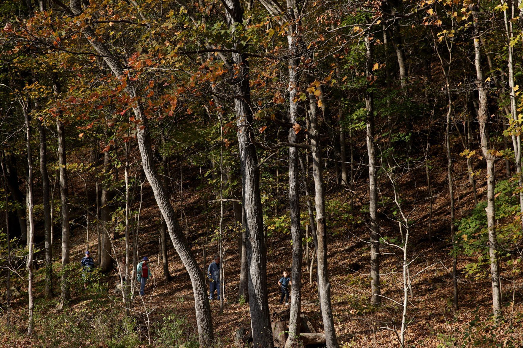 Hiking in Rockwoods Reservation